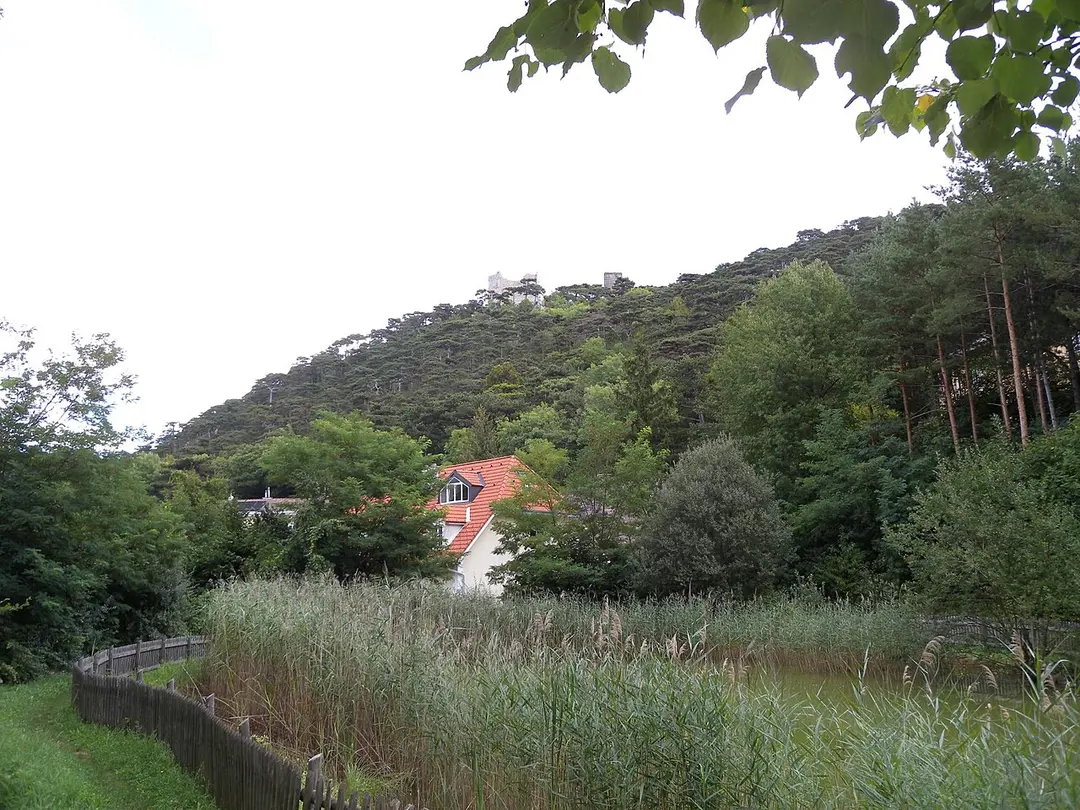 Burgruine Mödling
