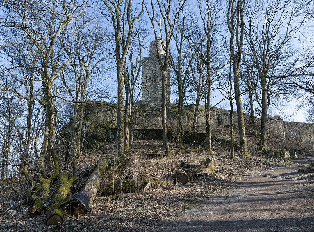 Burg Falkenstein