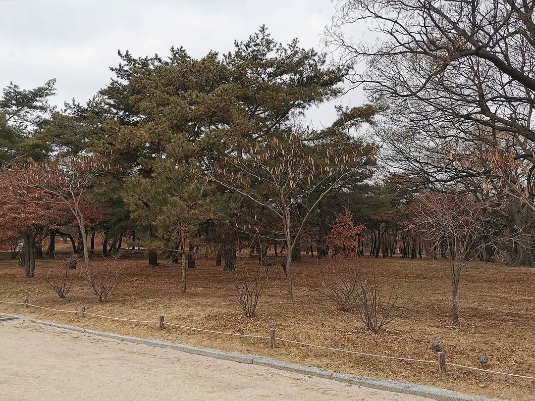 창경궁