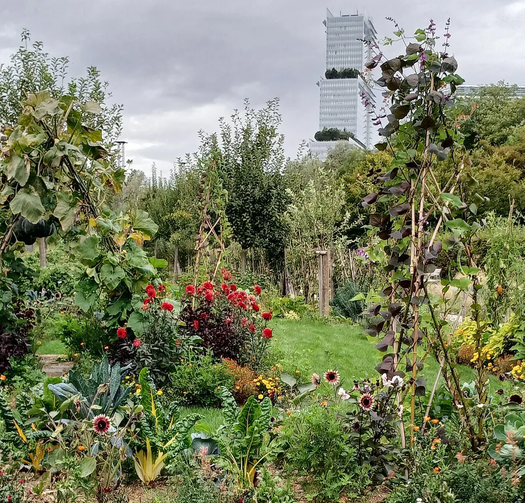 Parc Clichy-Batignolles Martin Luther King