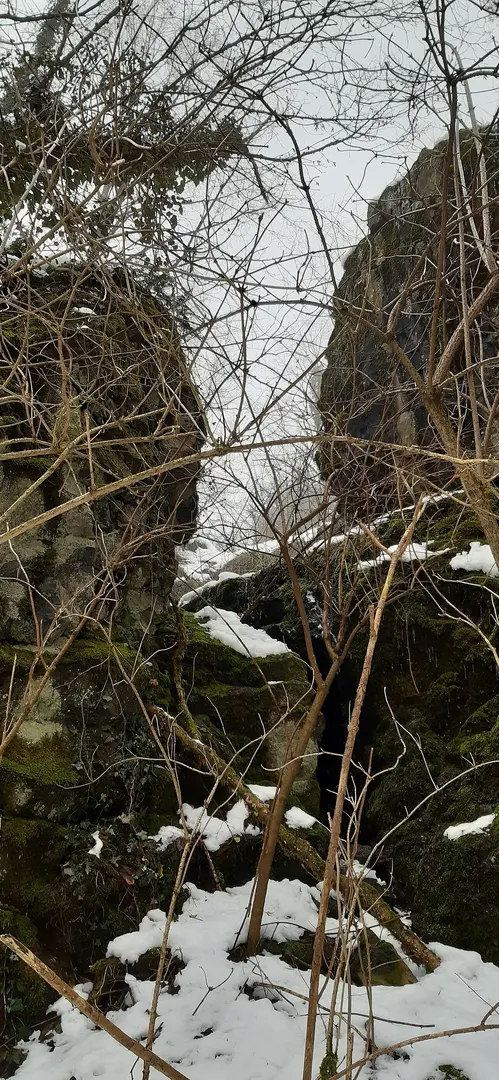 Beilstein