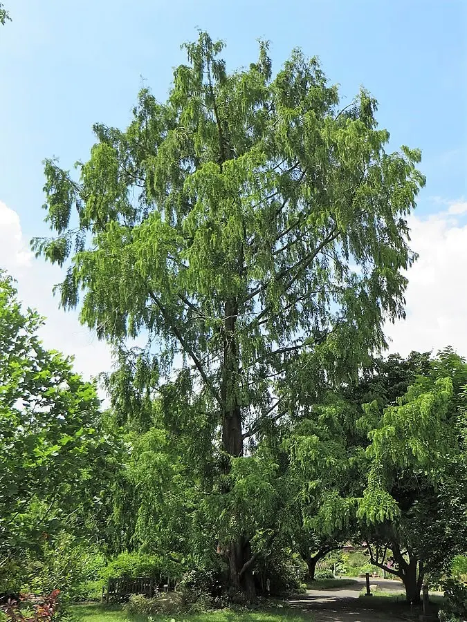 Botanischer Garten Leipzig