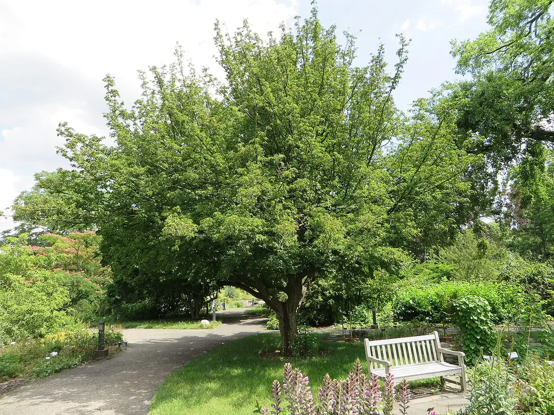 Botanischer Garten Leipzig