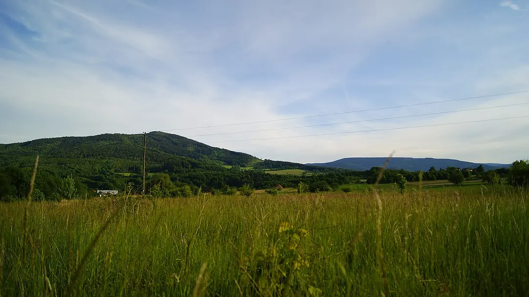 Bischofskoppe