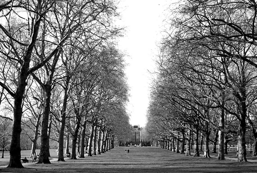 Green Park
