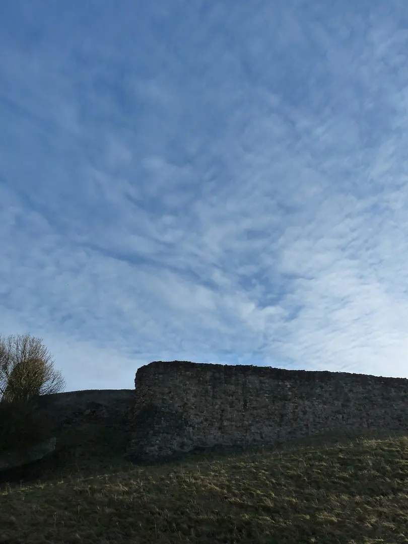 Berwick Castle