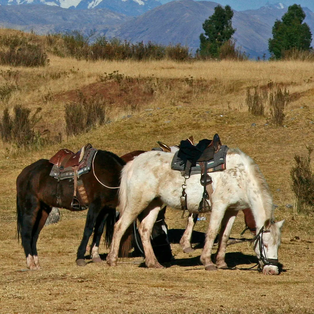 Ausangate