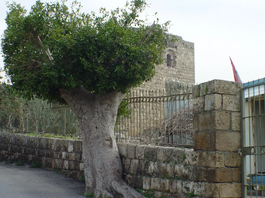 Byblos Castle