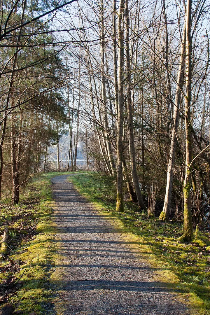 Maplewood Conservation Area