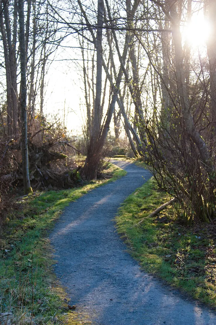 Maplewood Conservation Area