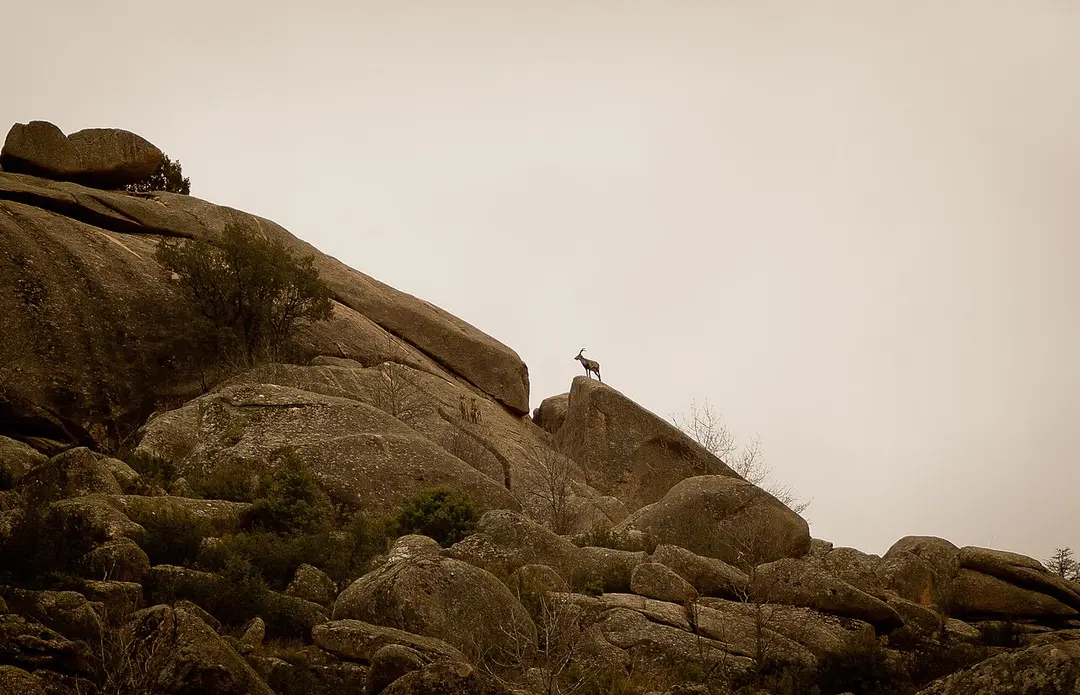 La Pedriza