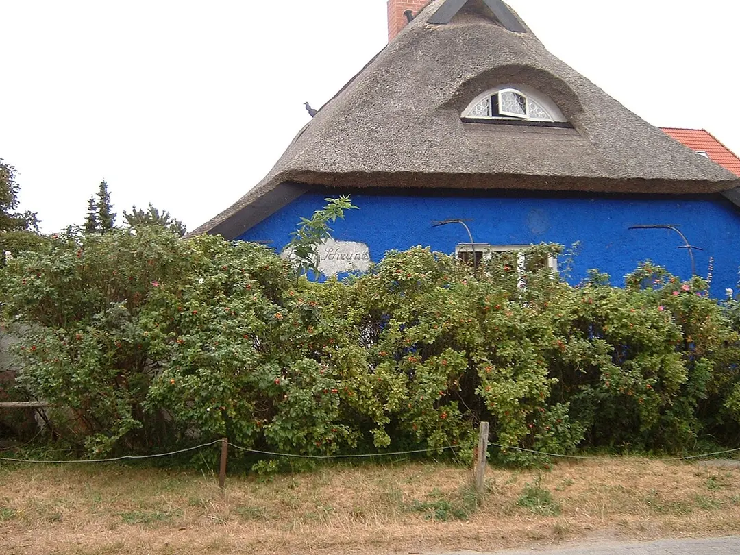 Blaue Scheune