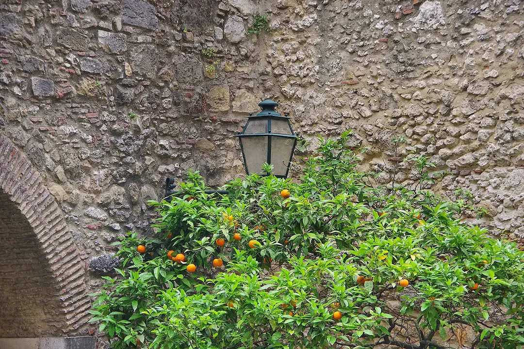Castelo de São Jorge
