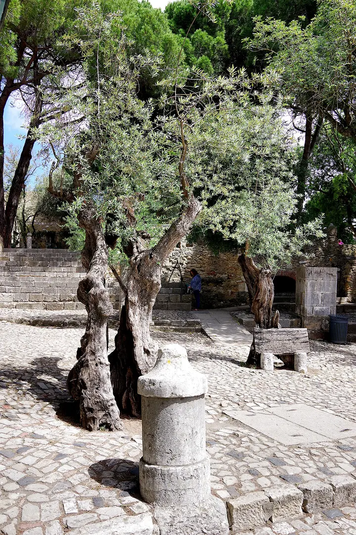 Castelo de São Jorge