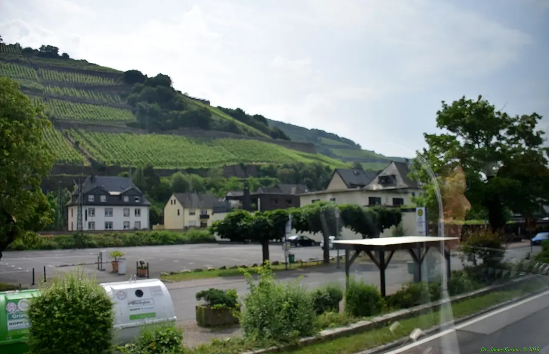Assmannshausen