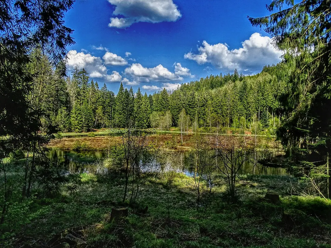 Buhlbachsee