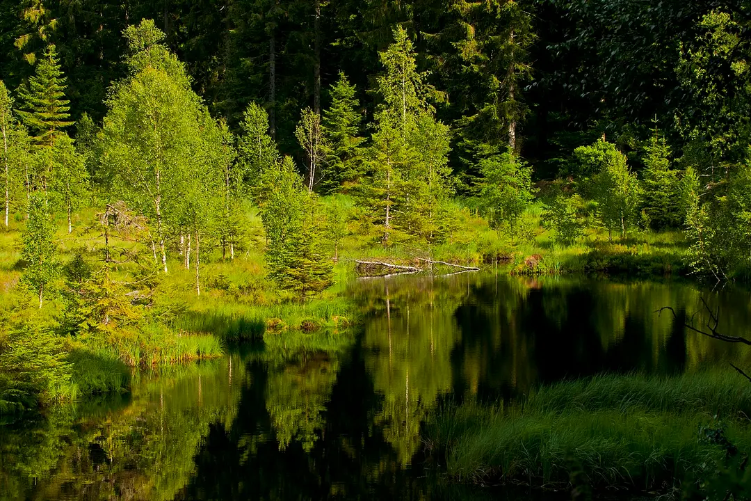 Buhlbachsee