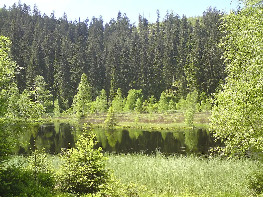 Buhlbachsee