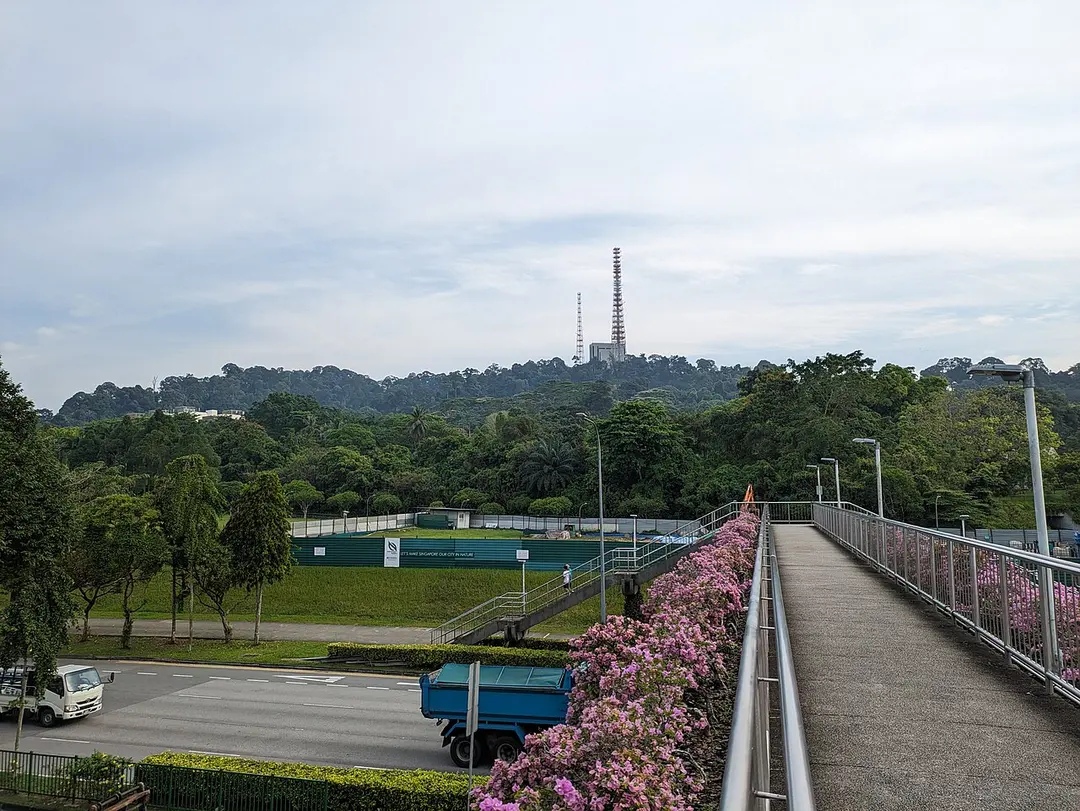 Bukit Timah Road