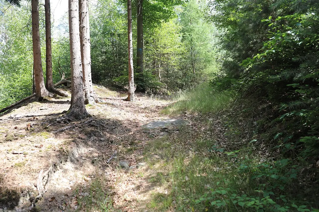 Alte Burg