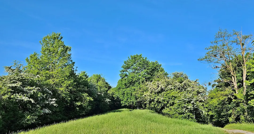 Bernhartshöhe