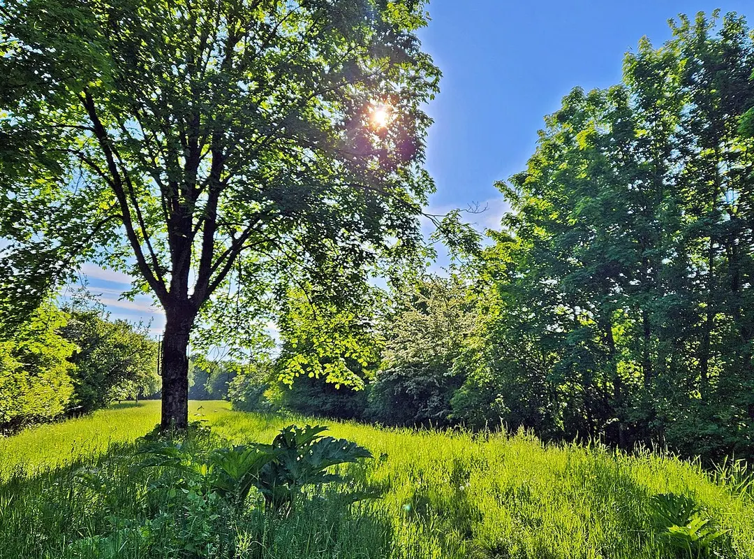 Bernhartshöhe