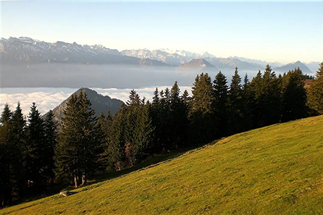 Buochserhorn