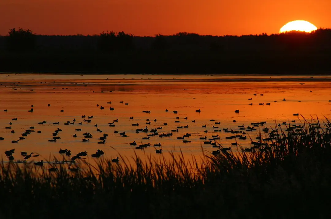 Agassiz National Wildlife Refuge