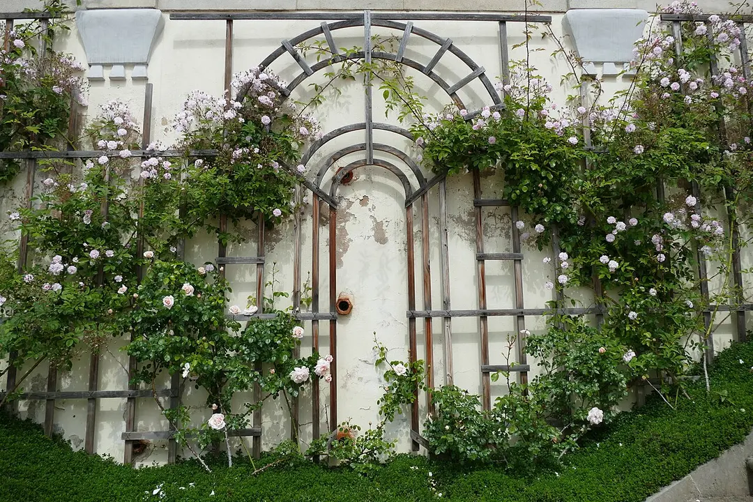 Ledebur-Garten