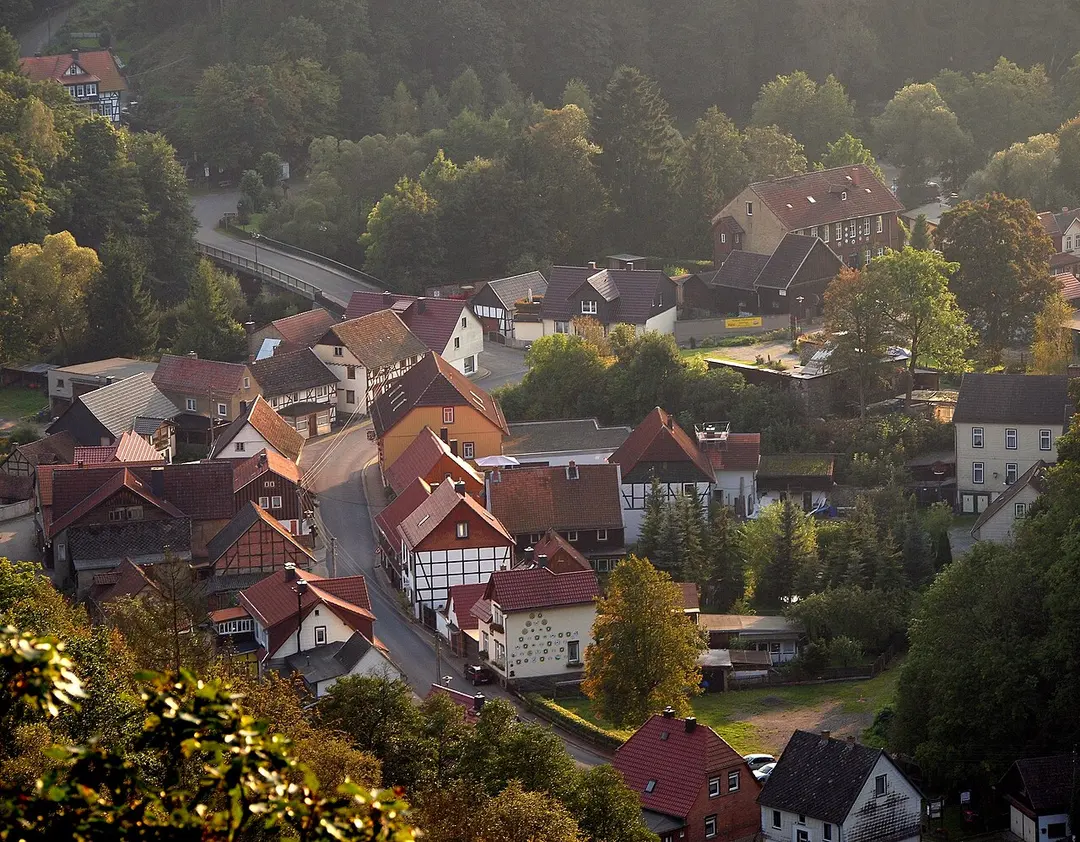 Böser Kleef