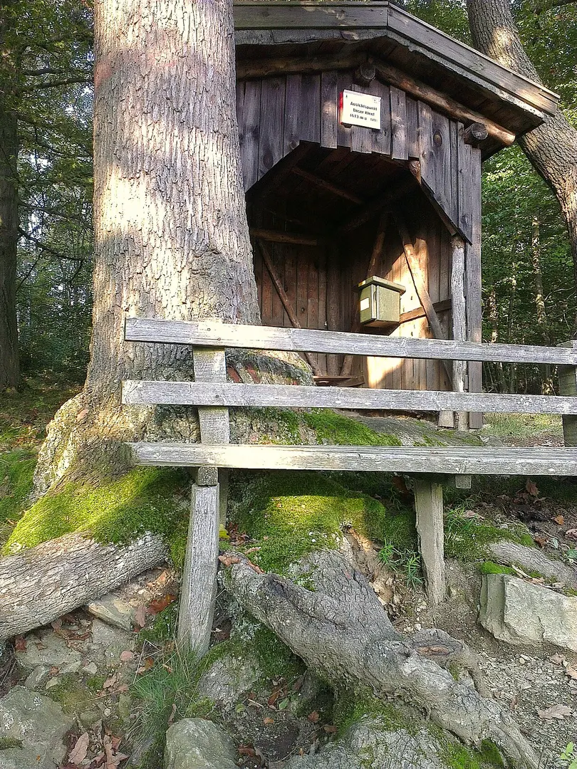 Böser Kleef