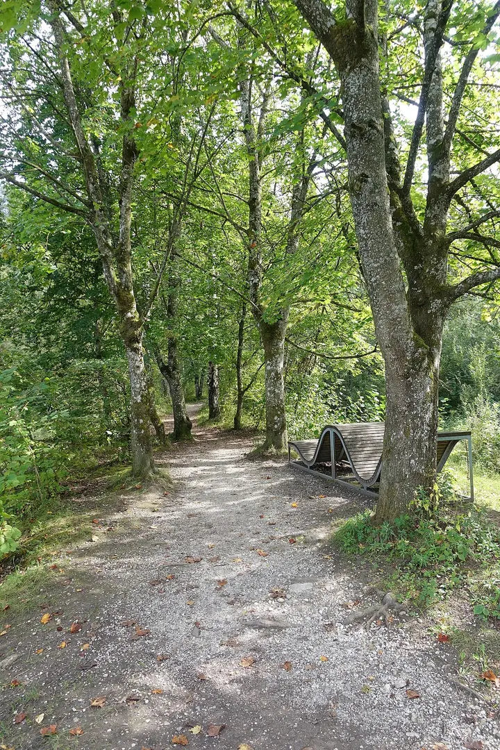 Bad Wimsbach-Neydharting
