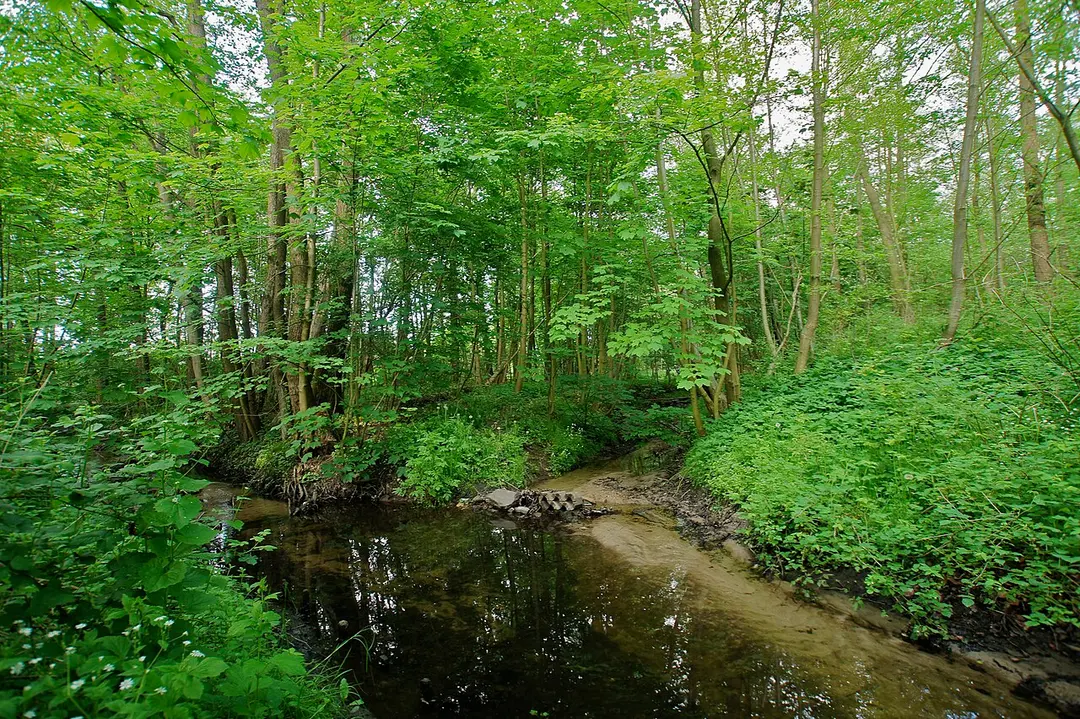 Deepenhorngraben