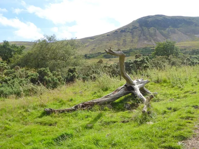 Caerketton Hill