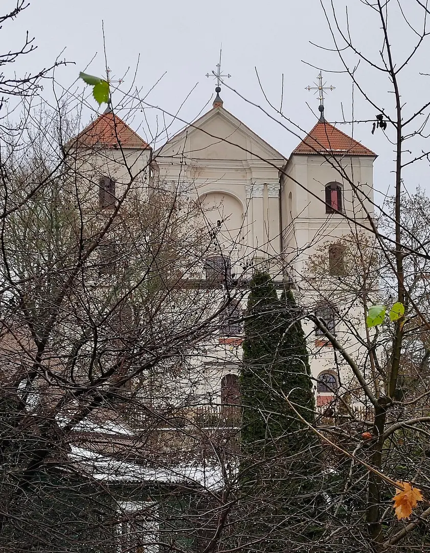 Basilika Mariä Heimsuchung, Trakai