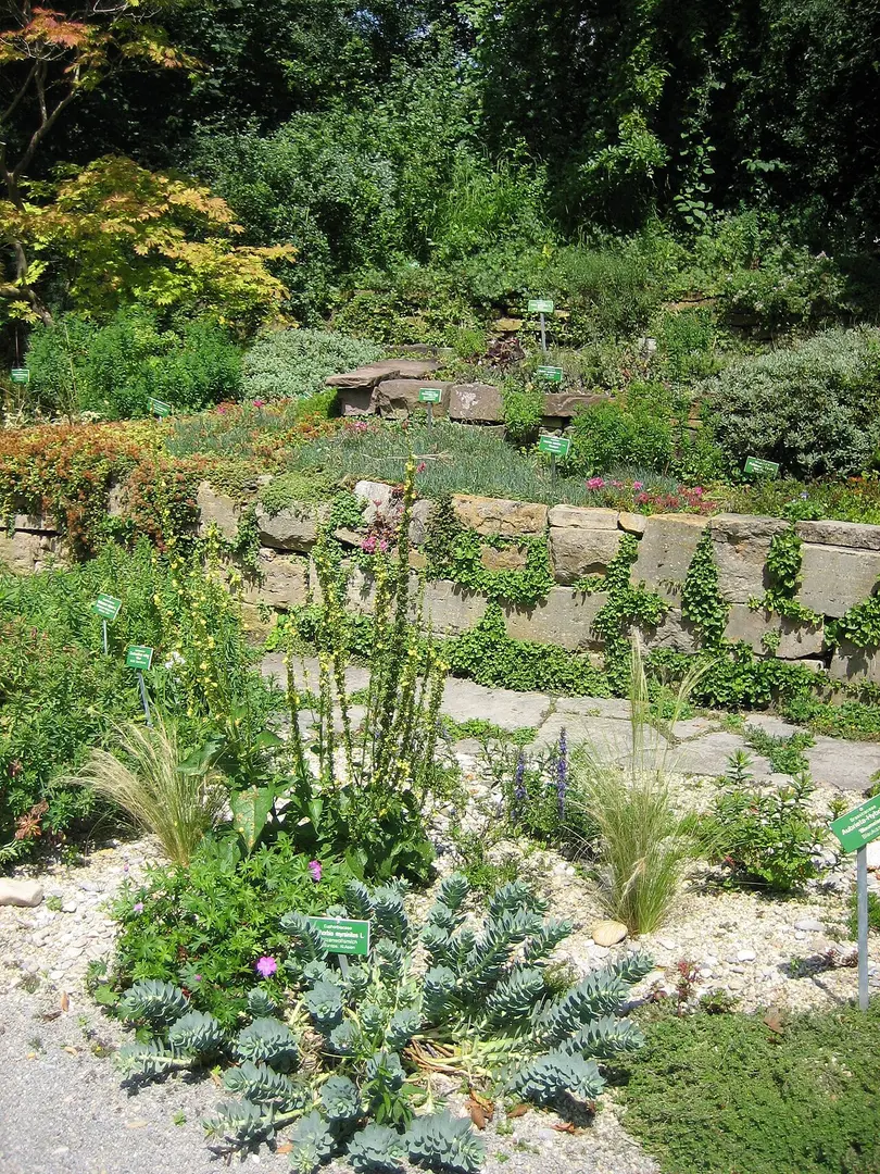Botanical Garden Augsburg
