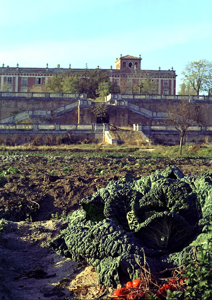 Palacio del Infante don Luis