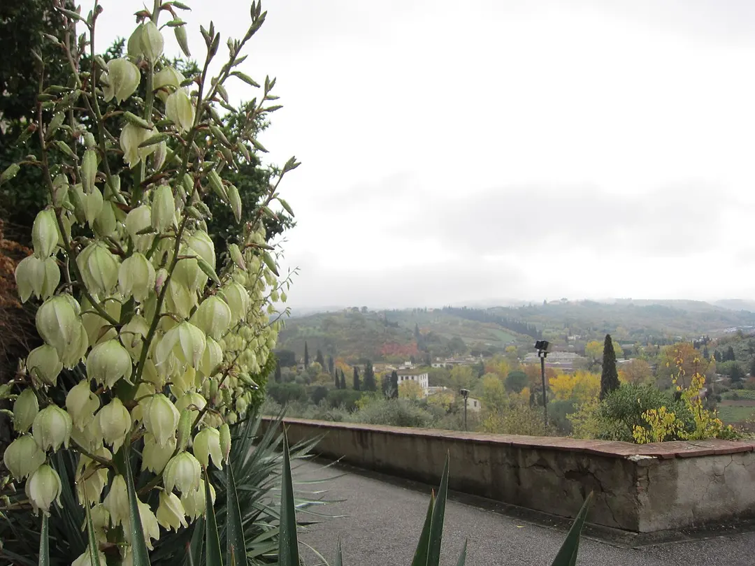 Certosa del Galluzzo