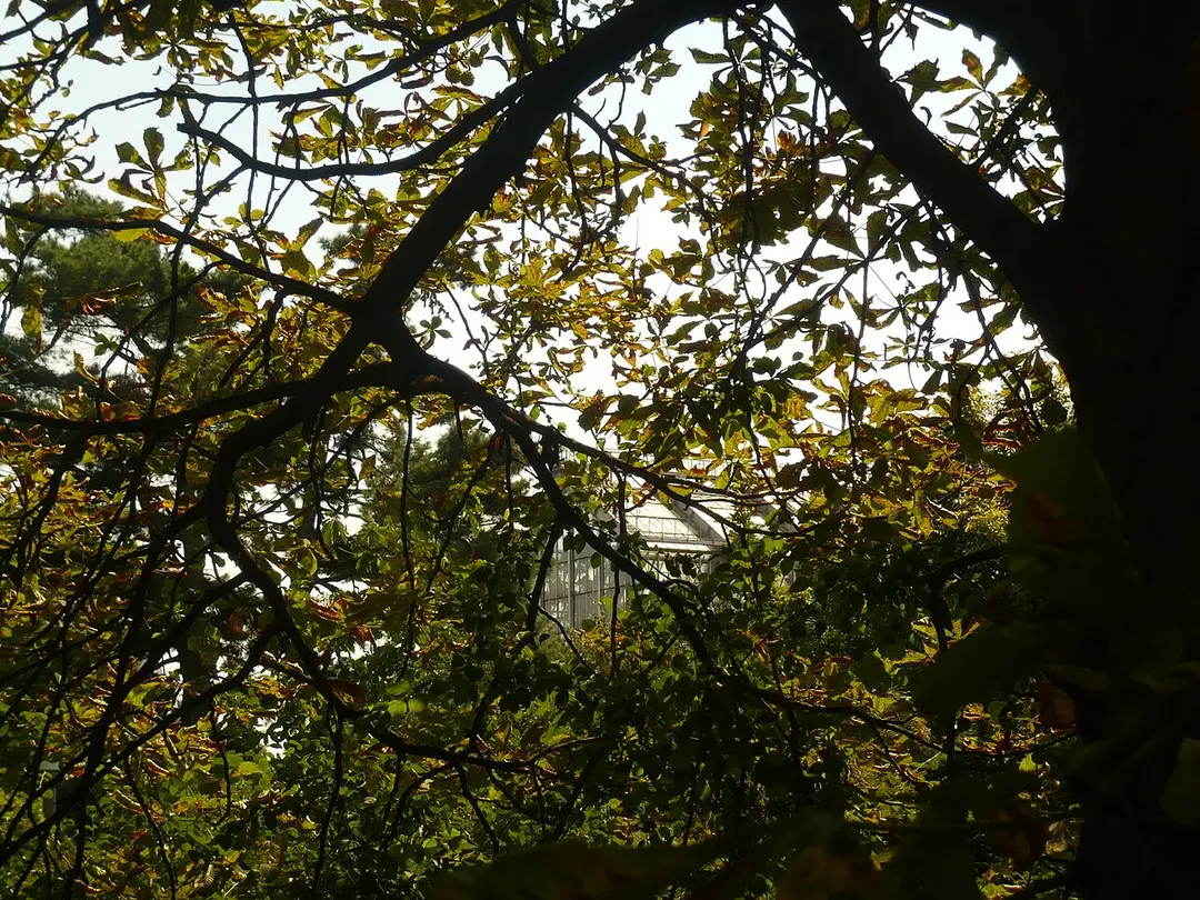 A.V. Fomin Botanical Garden