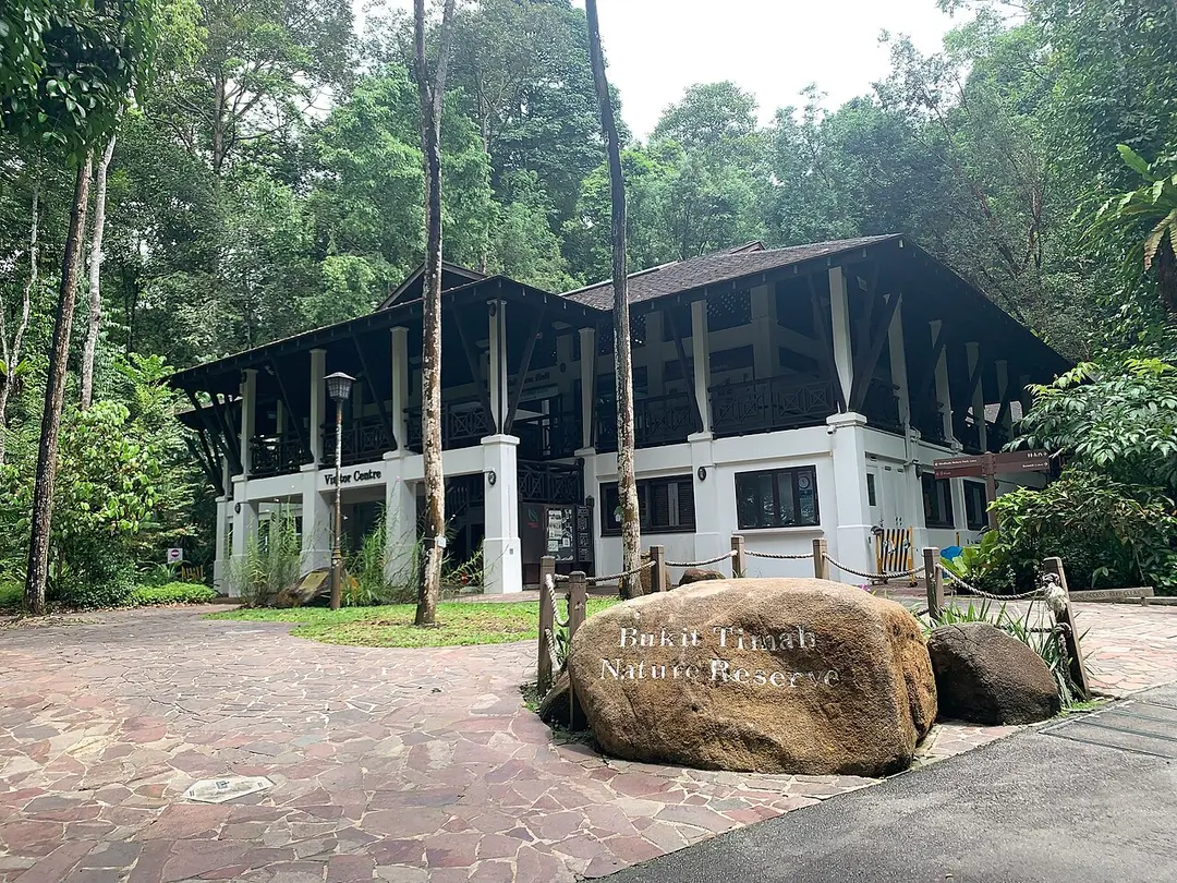 Bukit-Timah-Reservat