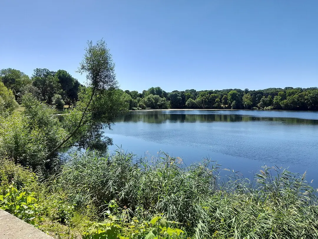 Auensee (Leipzig)