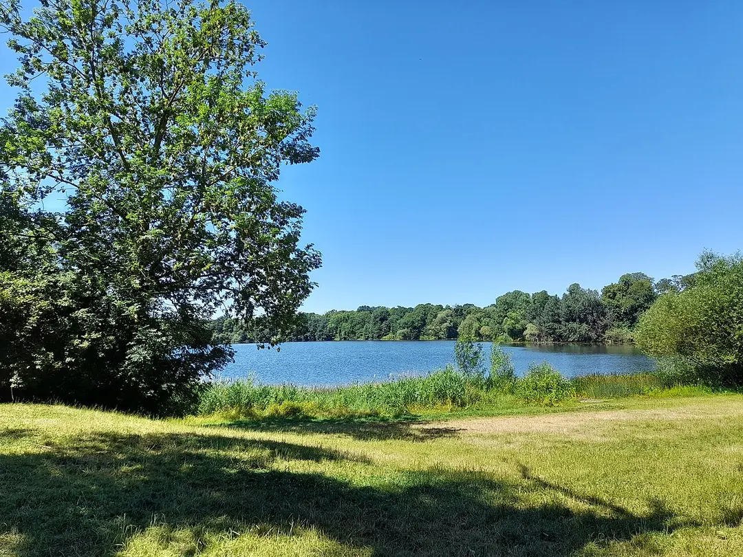 Auensee (Leipzig)