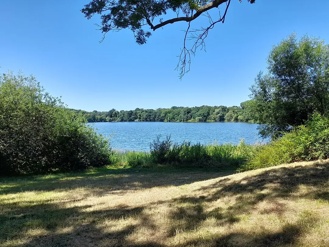 Auensee (Leipzig)