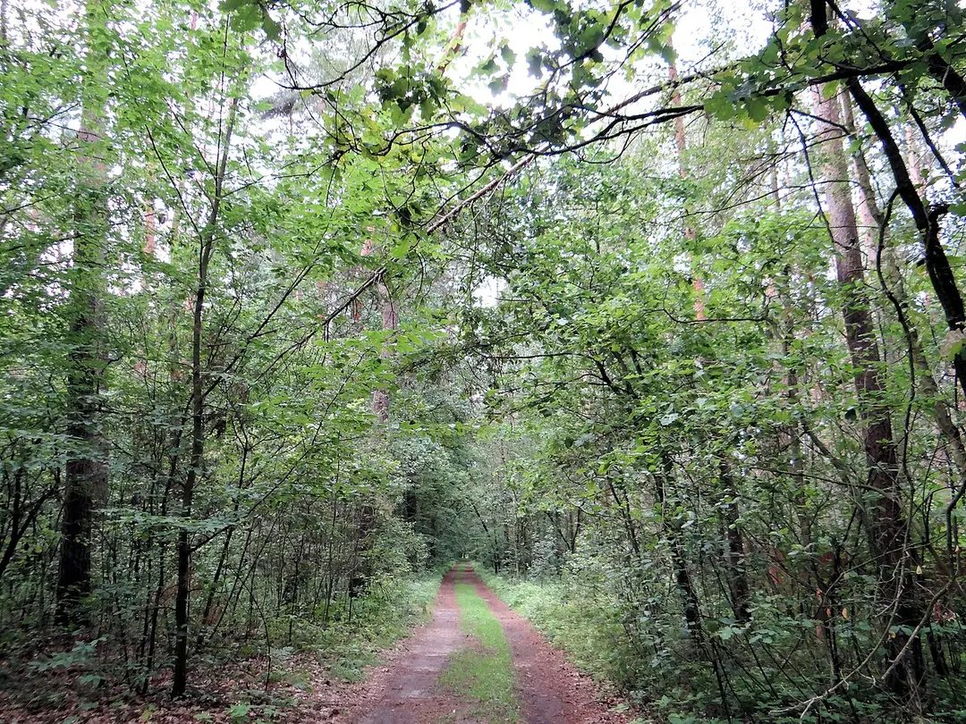 Bolimowski Park Krajobrazowy