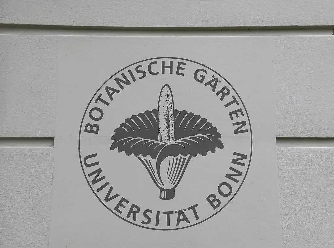 Botanischer Garten