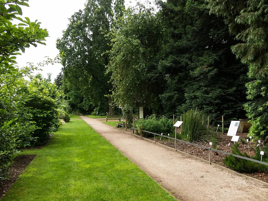 Botanischer Garten