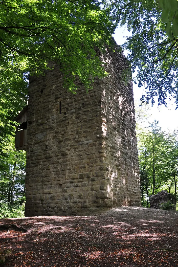 Alt-Wülflingen Castle