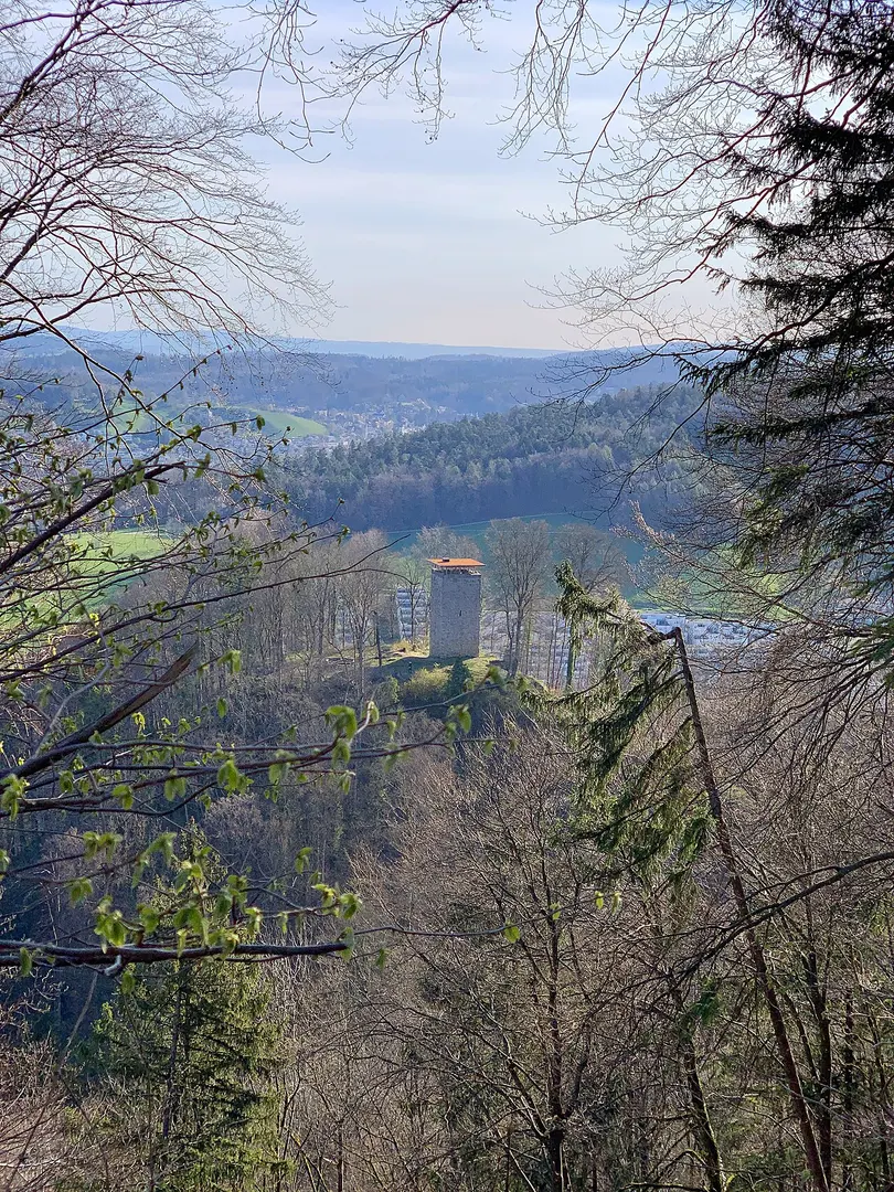 Alt-Wülflingen Castle