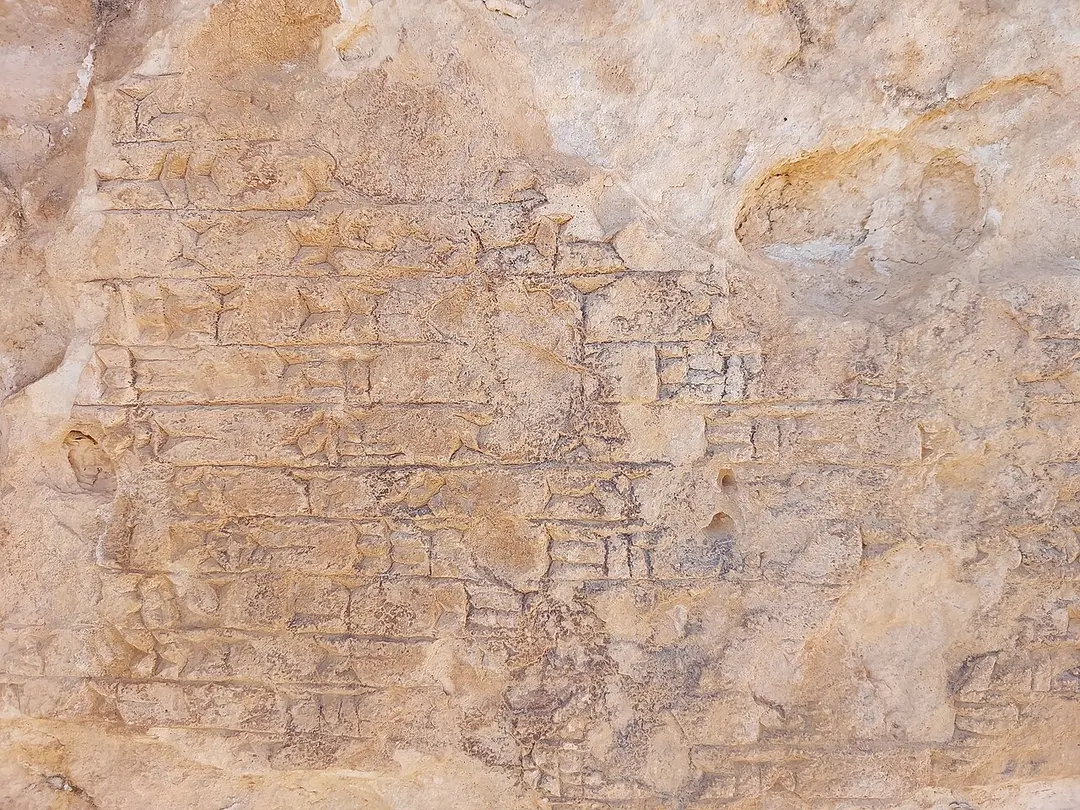 Bavian-Relief