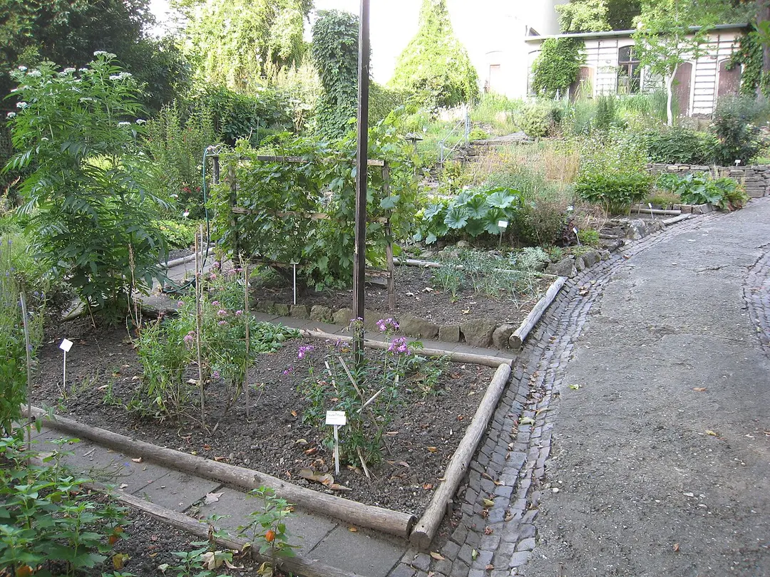 Botanischer Garten Gera